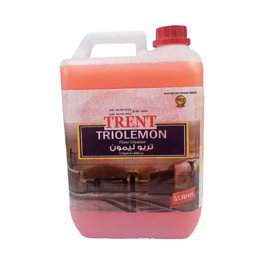 DISINFECTANT-TD-LEMON-5-LTR